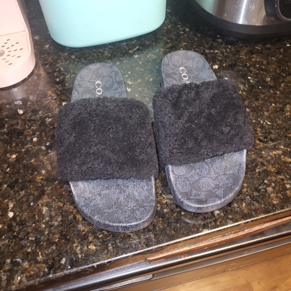 Coach slides